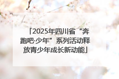 2025年四川省“奔跑吧·少年”系列活动释放青少年成长新动能